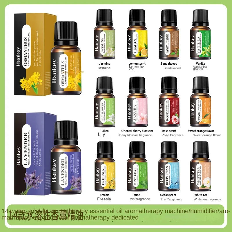 Indoor Aromatherapy Essential Oil for Refreshing and Long-lasting Air Freshening